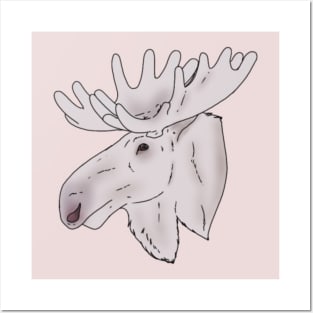 Albino Moose Head Posters and Art